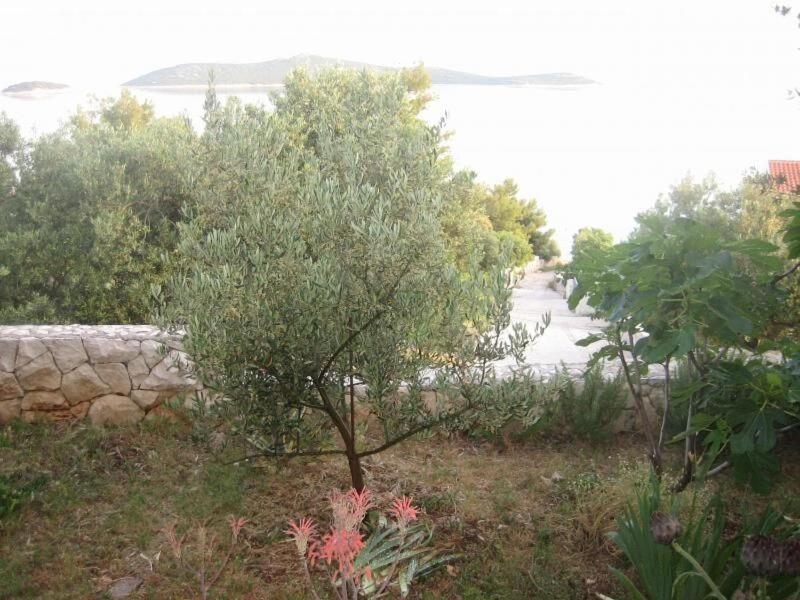 Apartments Mil - 80M From The Sea Sevid Extérieur photo